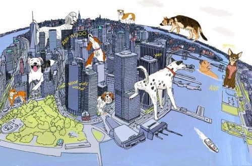 How do dogs live in the city?
