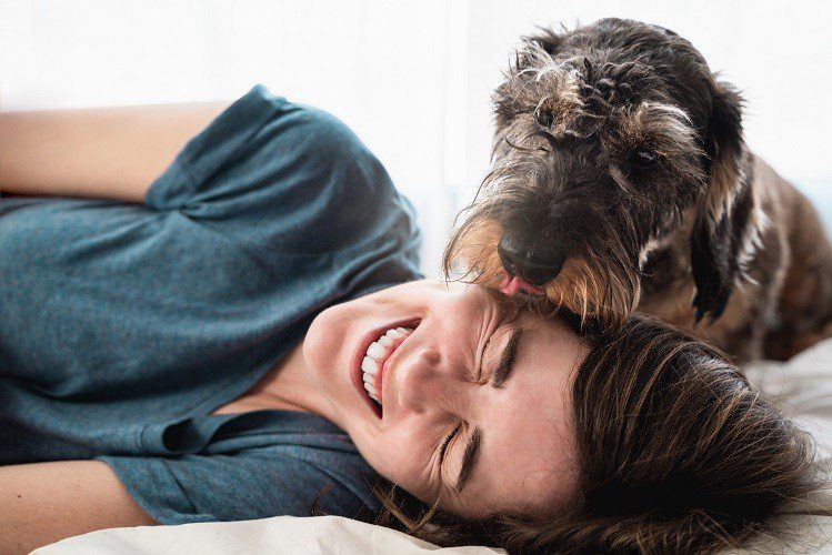 How Do Dogs Talk? Your pets body language