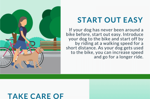 How do you prepare for cycling with your dog?