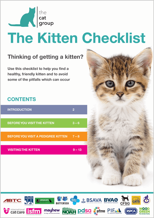 How does a cat take care of kittens?