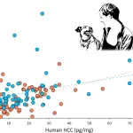 How does a human cause stress for a dog?