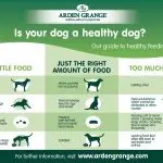 How does dog behavior depend on feeding?