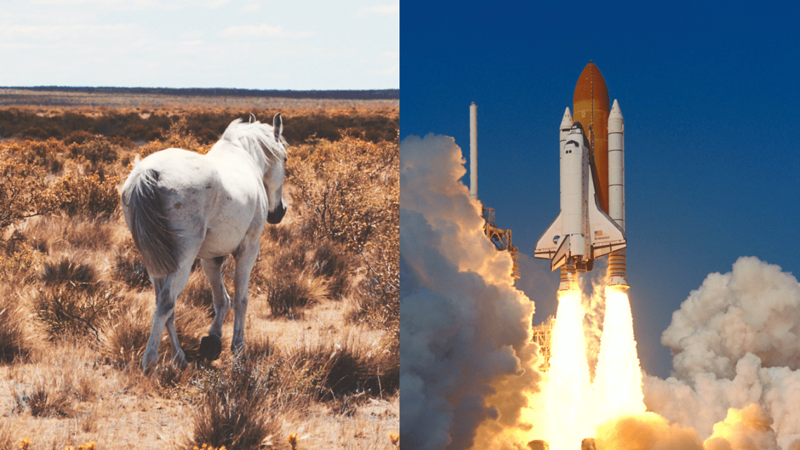 How does the space industry depend on a horse&#8217;s backside?