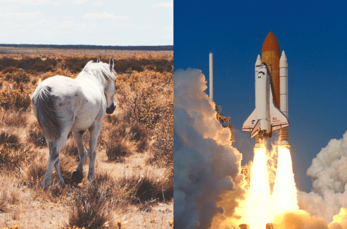 How does the space industry depend on a horse&#8217;s backside?