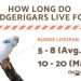 How to determine the age of a budgerigar?