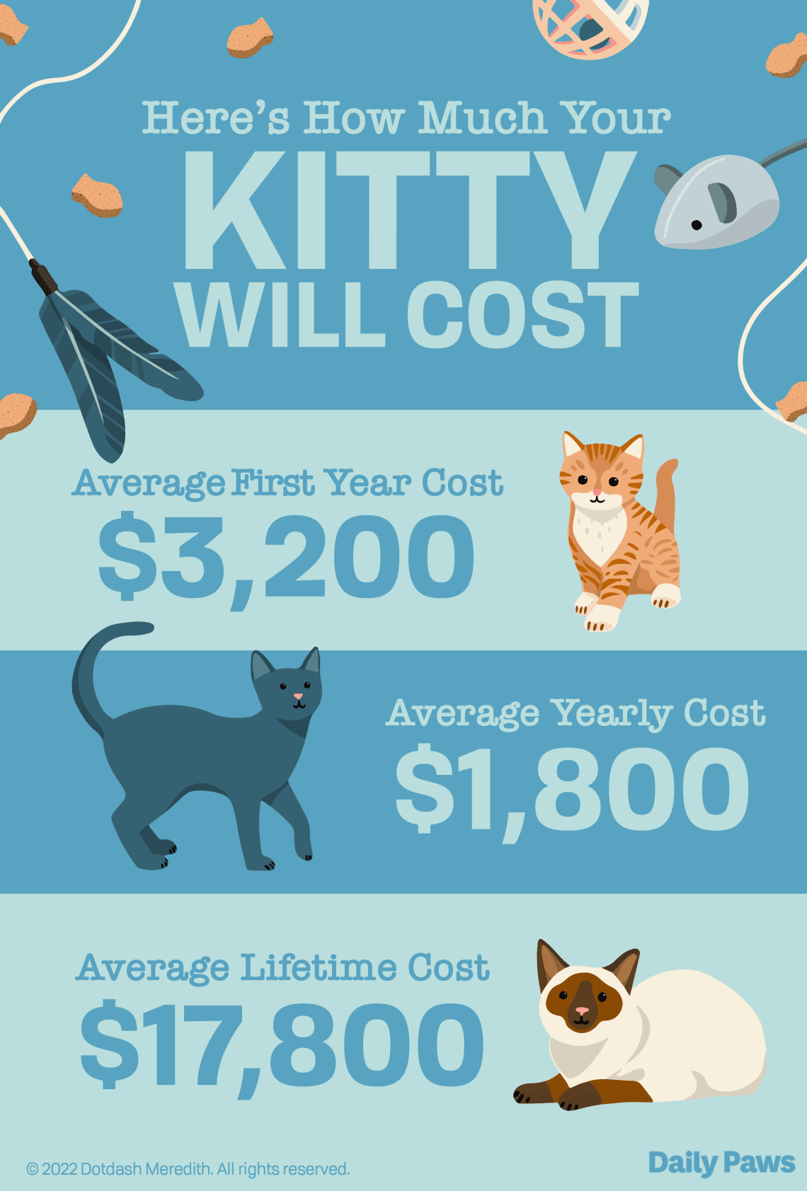 Mennyibe kerülnek a macskák?