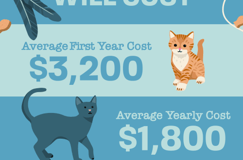 How much do cats cost?
