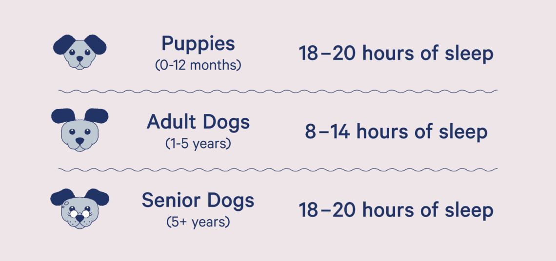 How much do dogs and puppies sleep per day