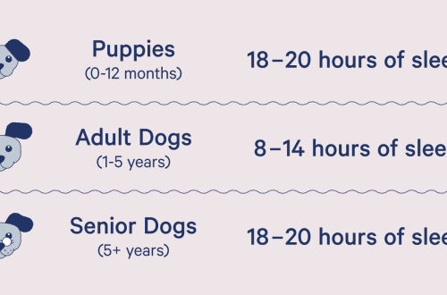 How much do dogs and puppies sleep per day
