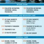 How much does a shelter dog cost?