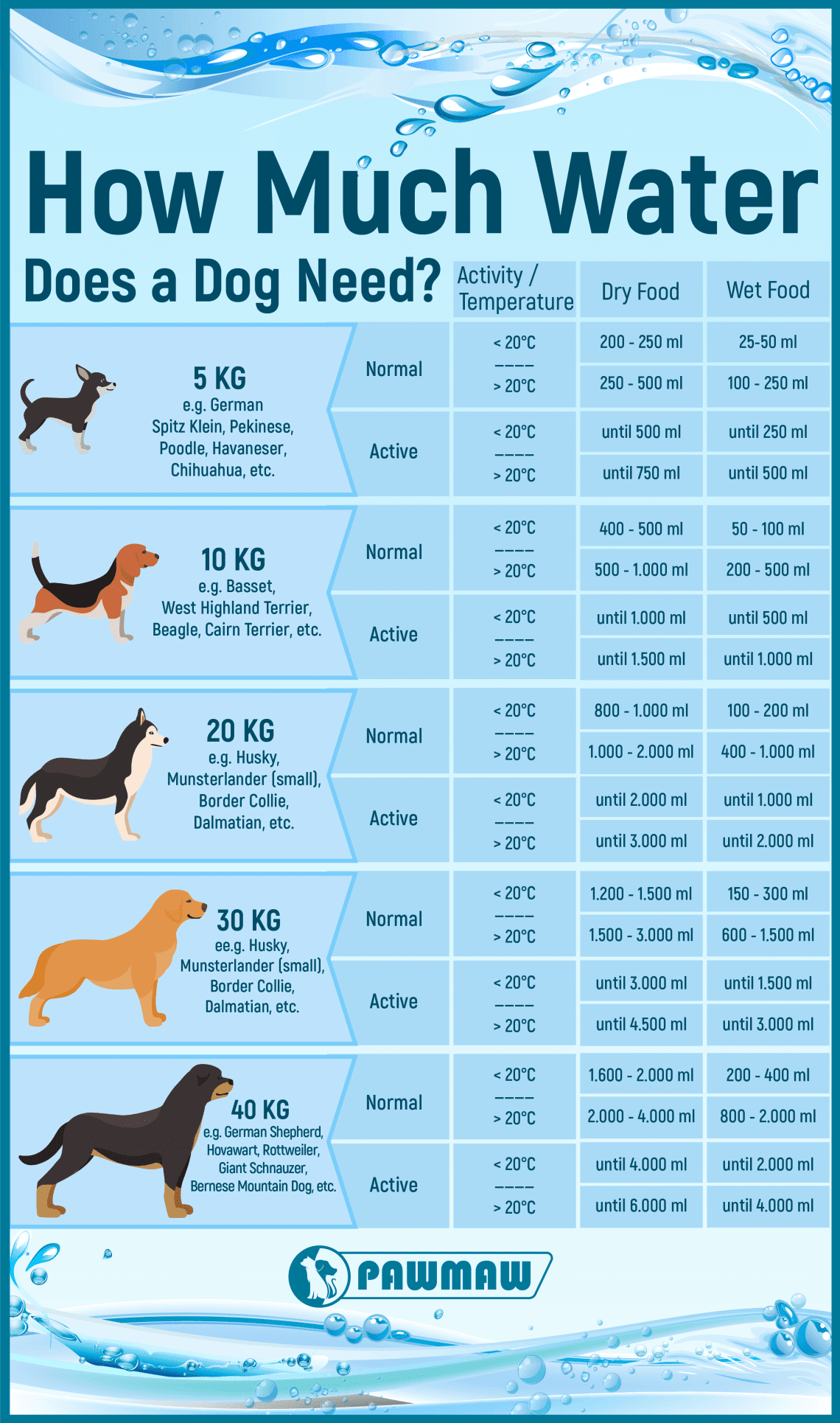How much water should a dog drink per day?