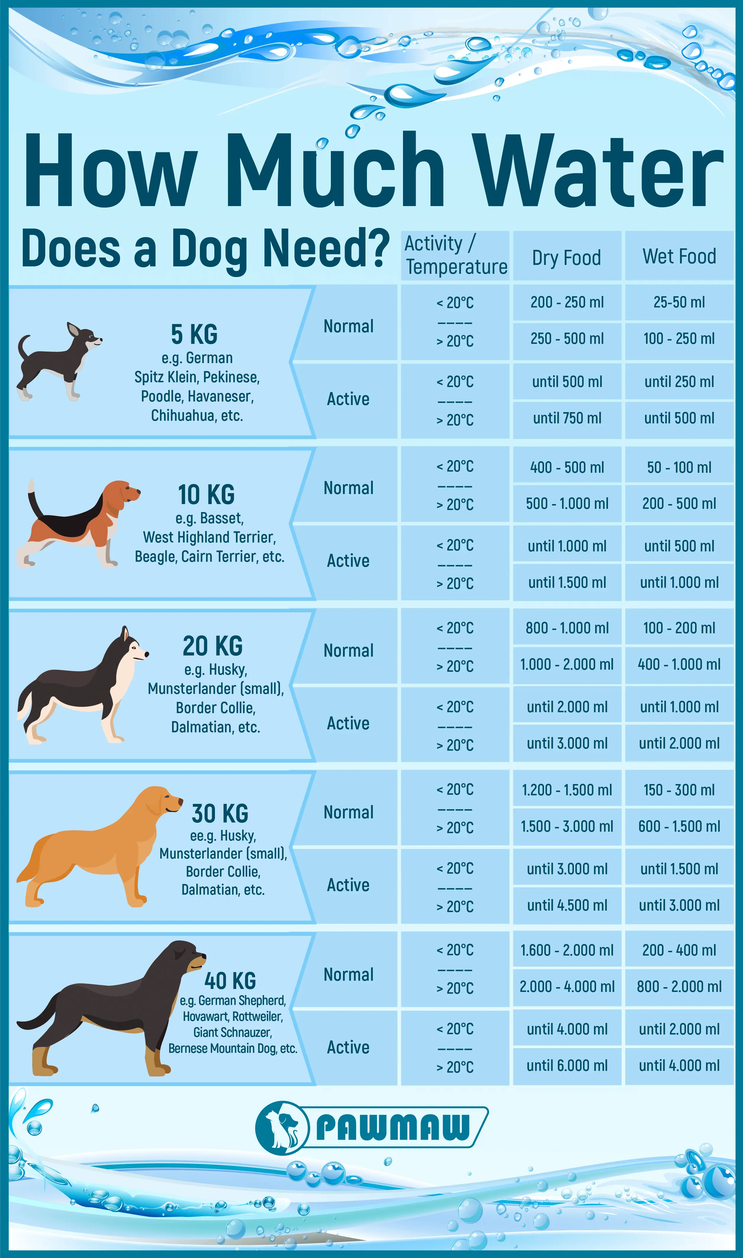 how-much-water-should-a-dog-drink-per-day