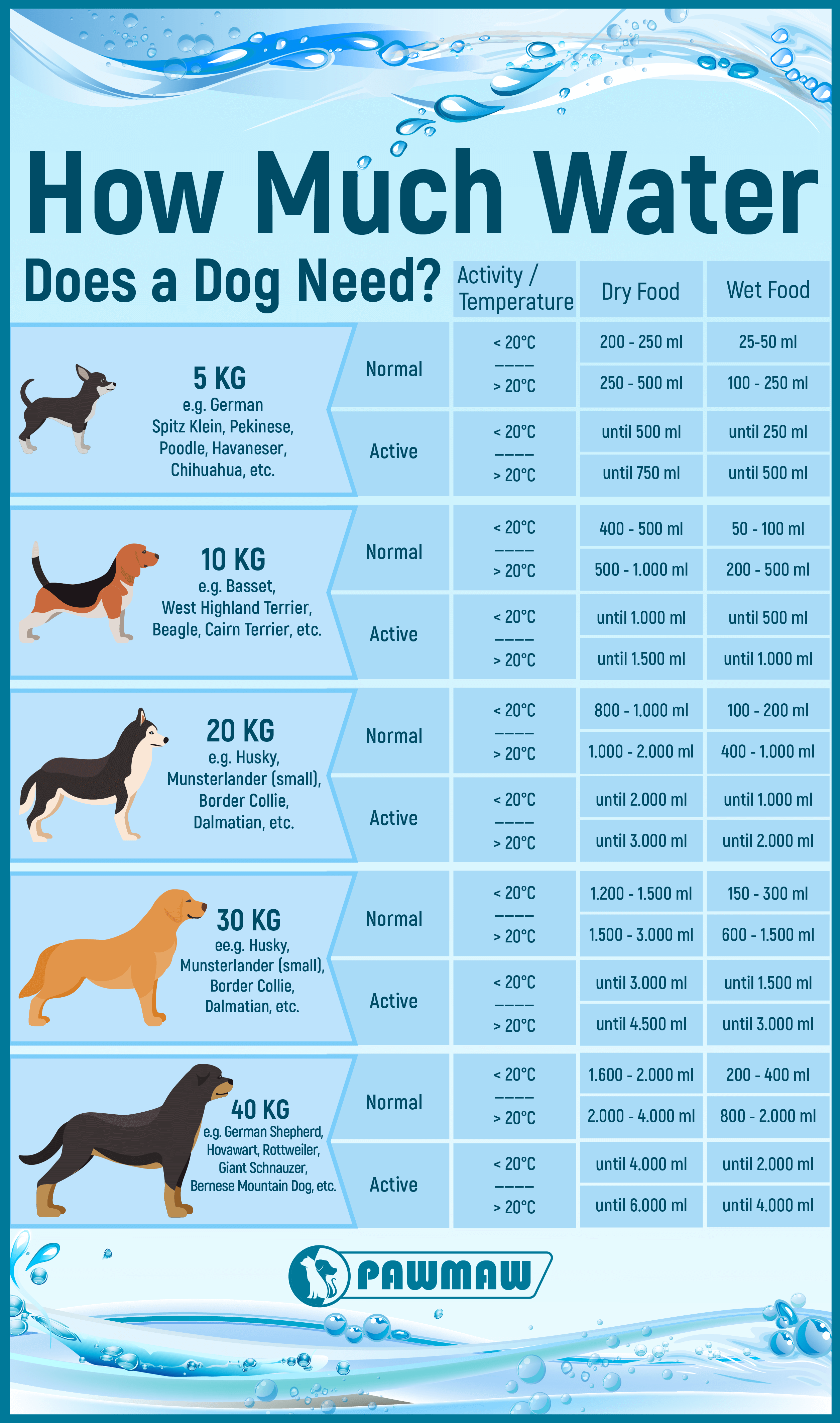 How Much Water Should A Dog Drink Per Day 