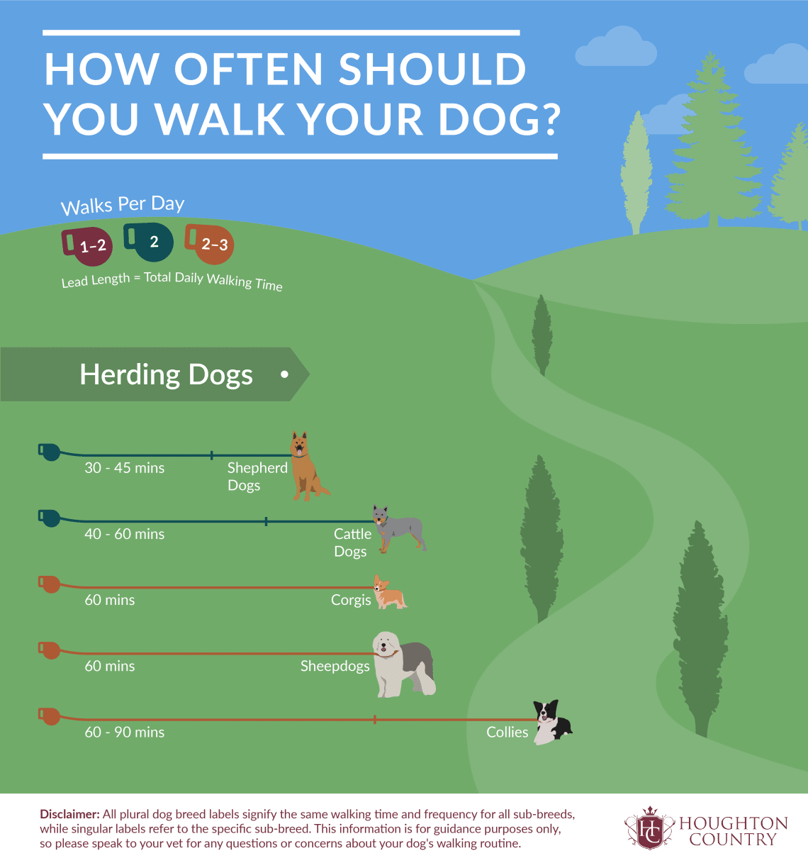 How often and how much to walk the dog