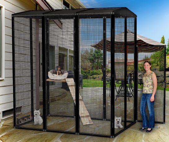 How to accustom a dog to an open-air cage?