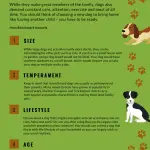 How to choose a dog breed