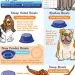 How to choose a hotel for a dog?