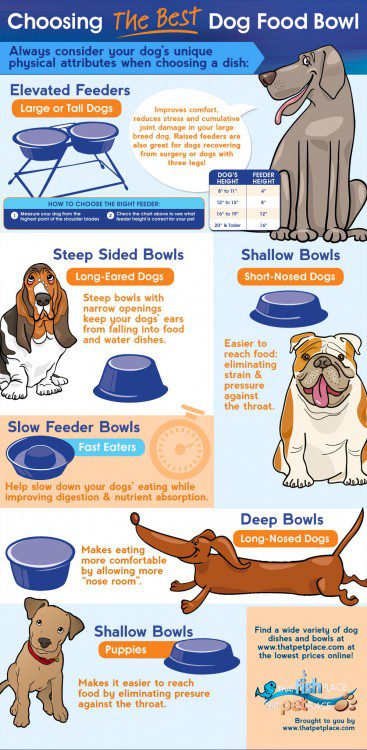 Kako odabrati hranilicu za pse?