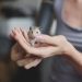 Why is it a great idea to have a rodent?