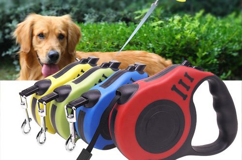 How to choose a leash-roulette?