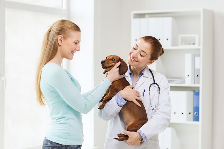 How to choose a veterinary clinic and veterinarian?