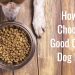 Kako nahraniti malog psa?