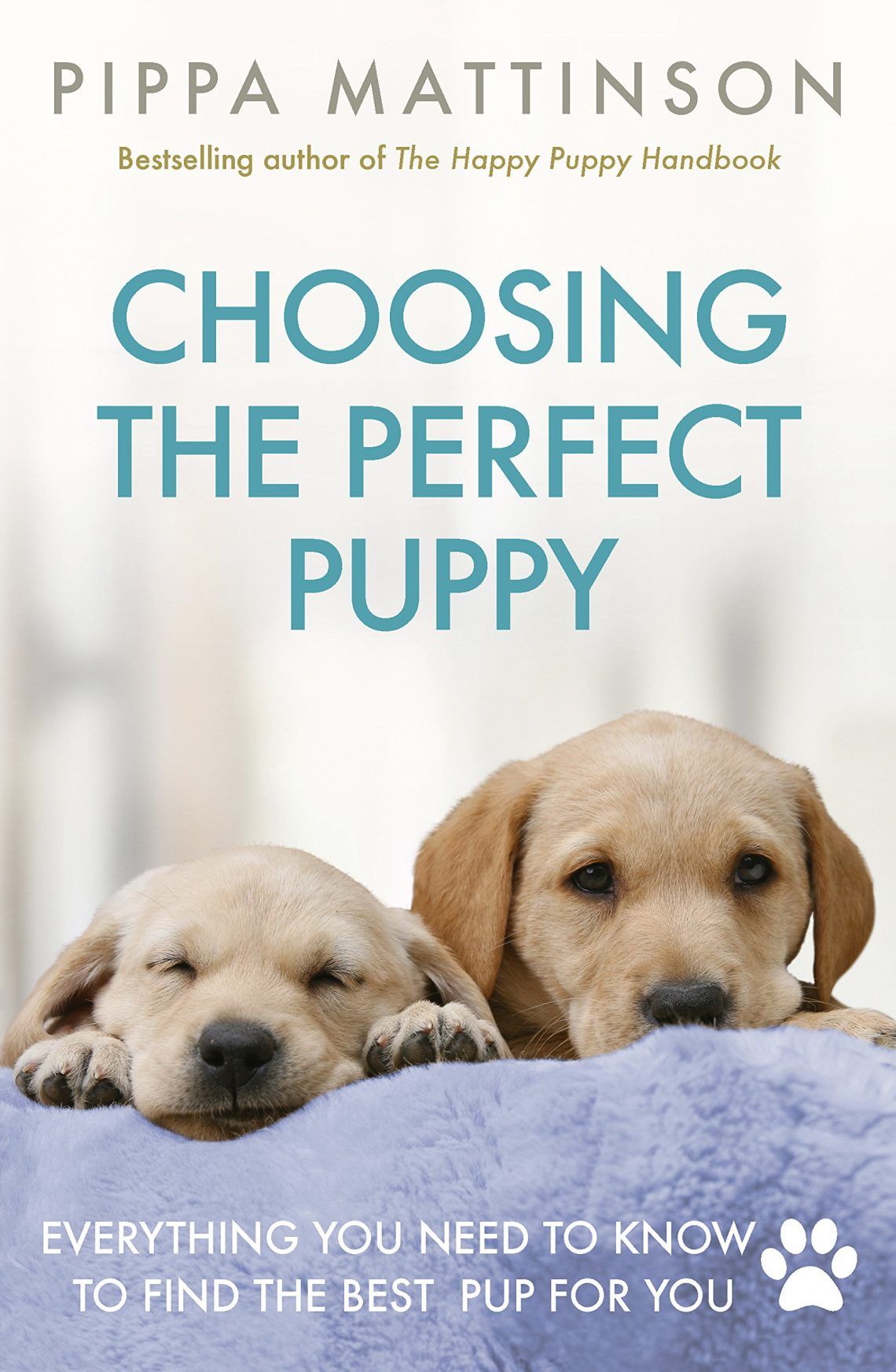 How to choose the perfect puppy?