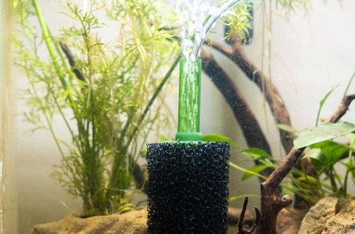 How to create an artificial current in an aquarium?