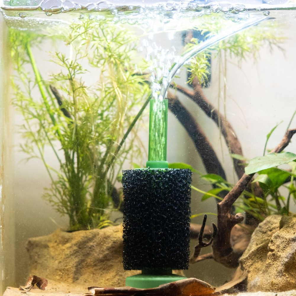 How to create an artificial current in an aquarium?