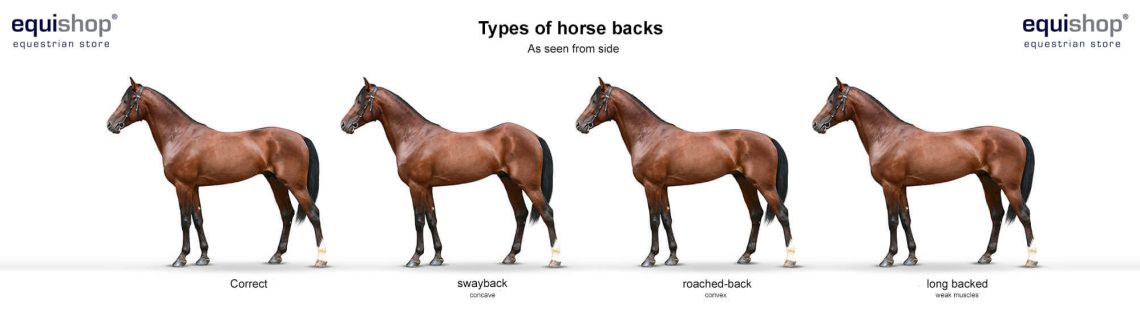 How to determine the load level of the horse