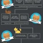 How to determine the onset of childbirth in a cat?