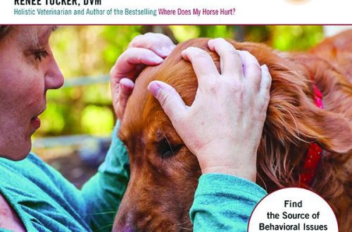 How to determine what hurts a dog?