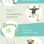 How to encourage a puppy