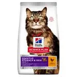 How to feed a cat with sensitive digestion?