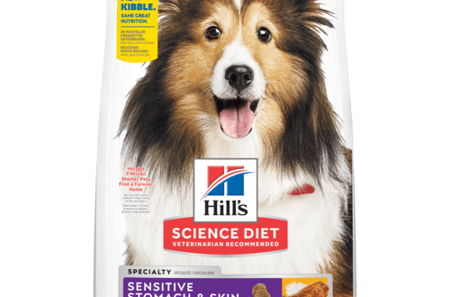 Kako hraniti psa sa osjetljivom probavom?