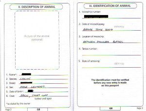 How to fill out a dog passport?