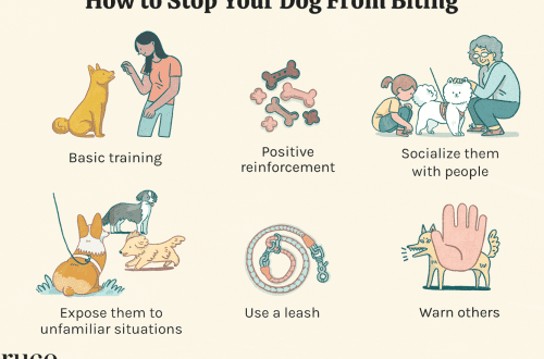 How to fix a bite in a puppy?