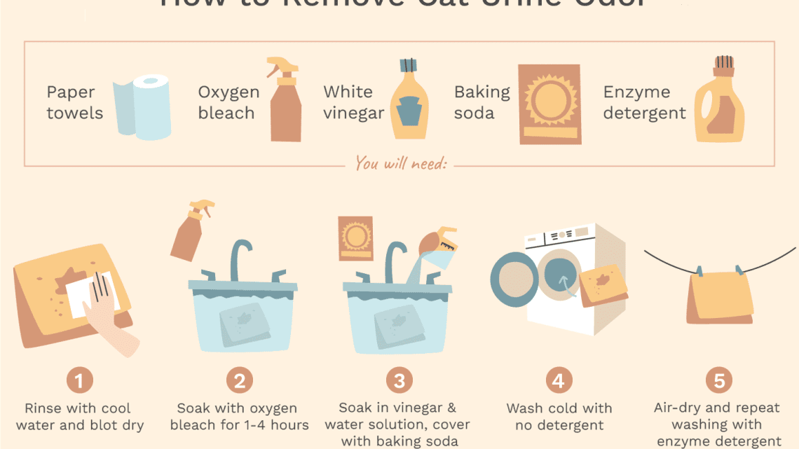 How to get rid of the smell of cat urine?