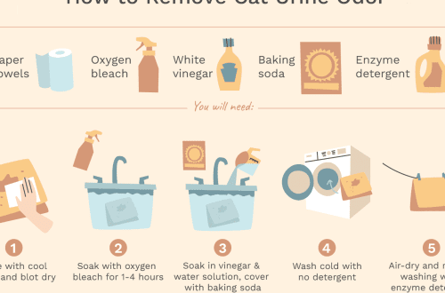 How to get rid of the smell of cat urine?