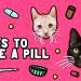 What vaccinations to give kittens and when to do the first