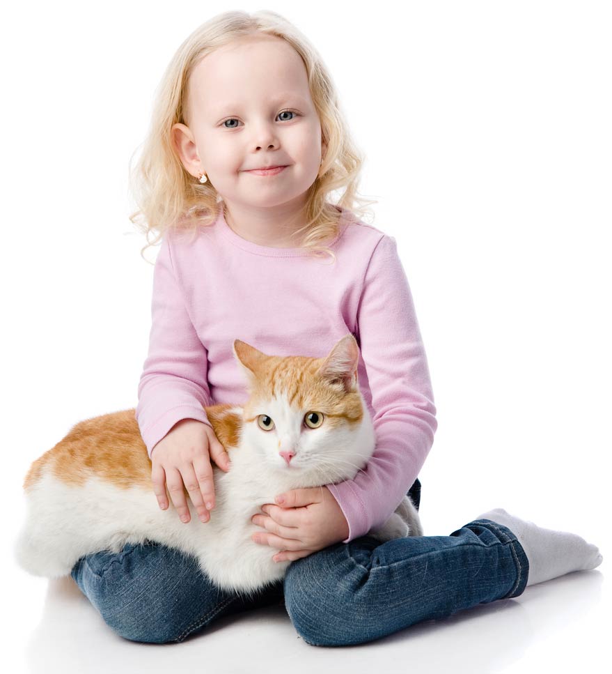 How to introduce a cat to a child?