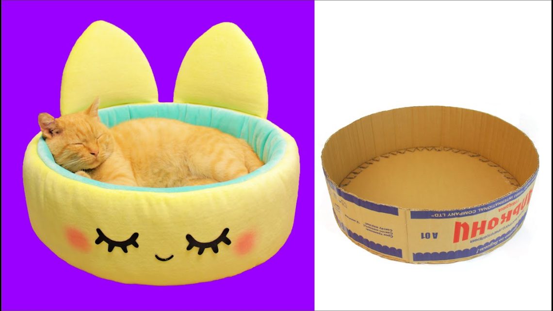 How to make a cat bed?