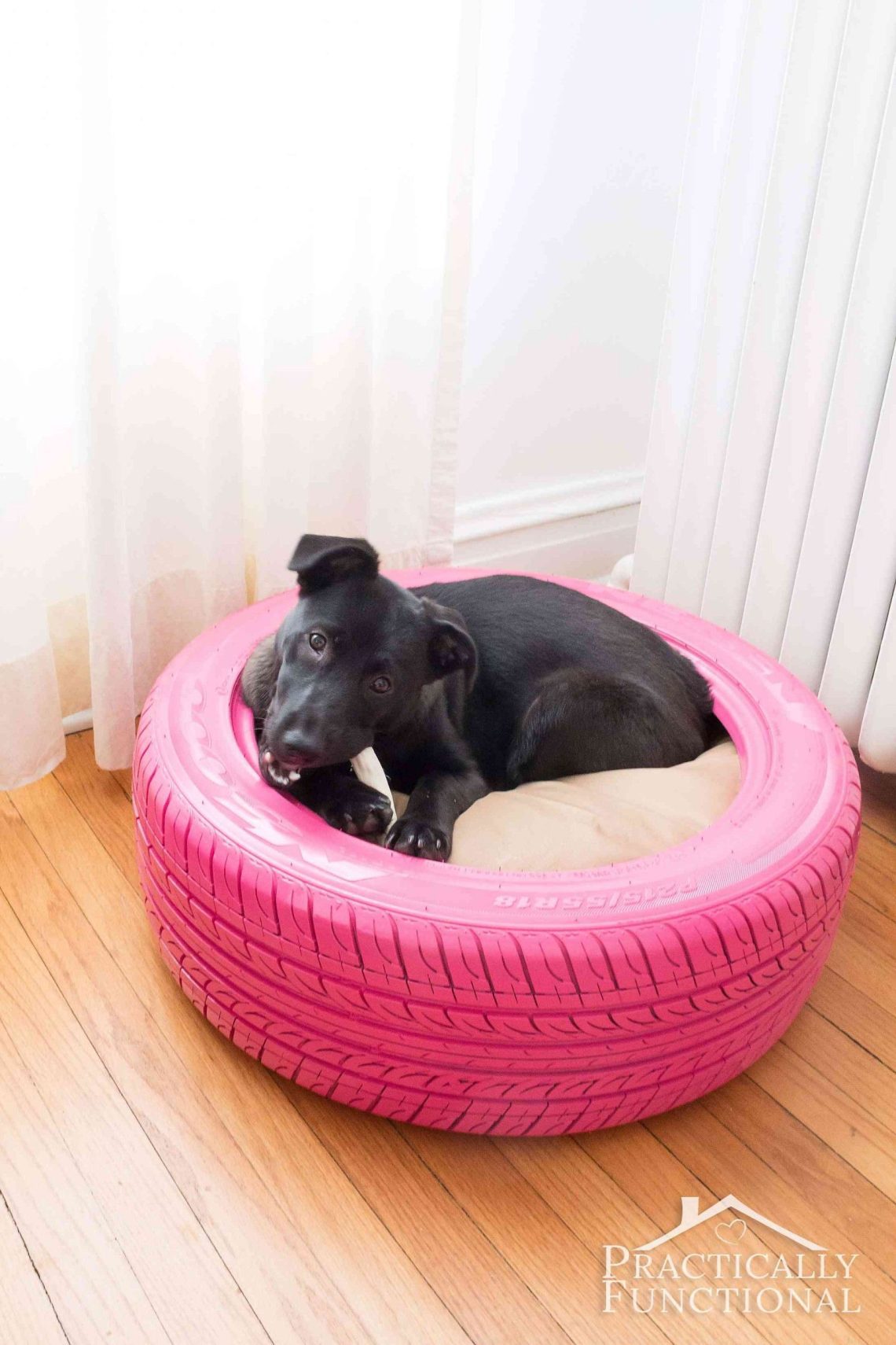 How to make a dog bed?