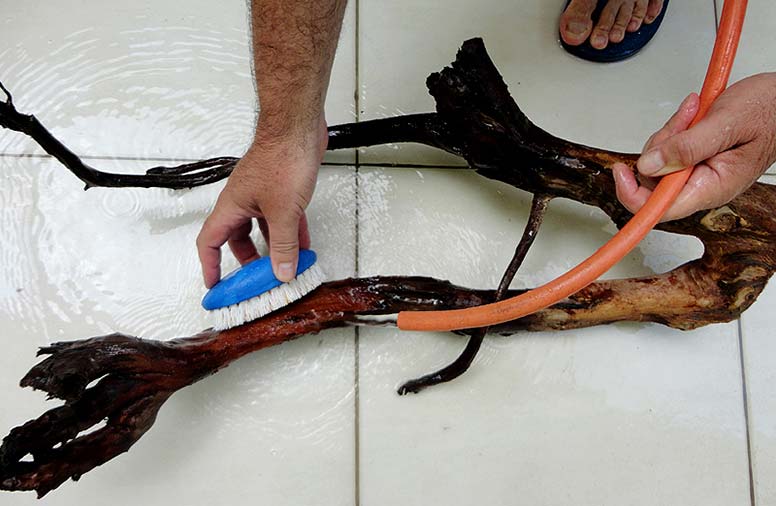 How to make a driftwood for an aquarium with your own hands