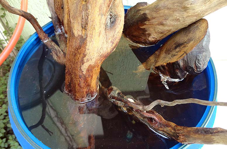 How to make a driftwood for an aquarium with your own hands