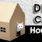 How to make a house for a cat?