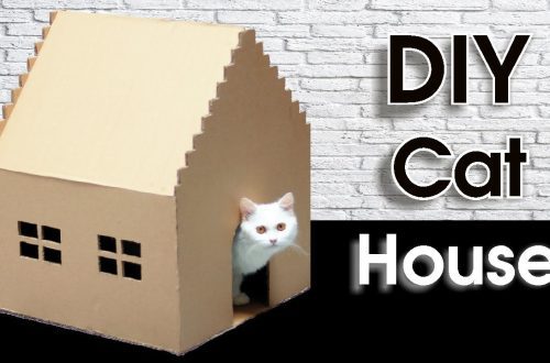 How to make a house for a cat?