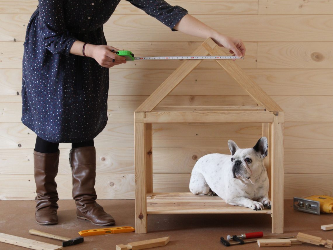 How to make a house for a dog?