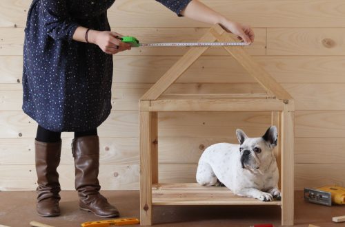 How to make a house for a dog?