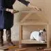 How to make a dog bed?